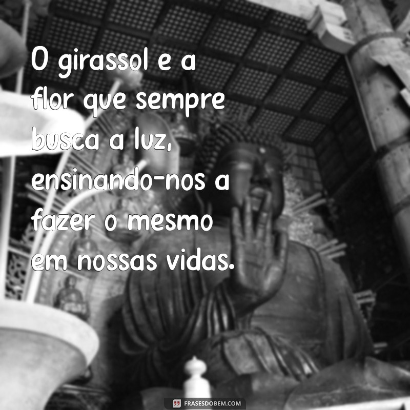 o girassol O girassol é a flor que sempre busca a luz, ensinando-nos a fazer o mesmo em nossas vidas.