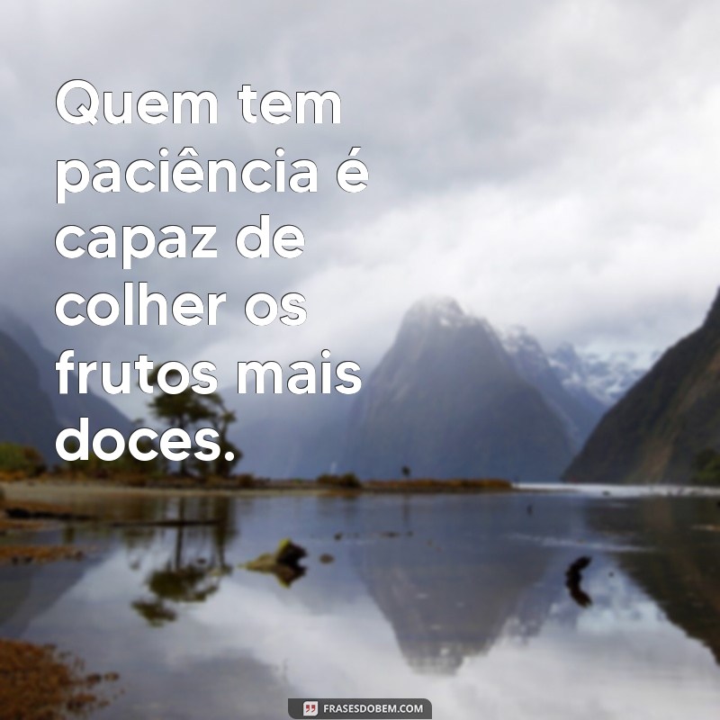 quem tem paciência é Quem tem paciência é capaz de colher os frutos mais doces.