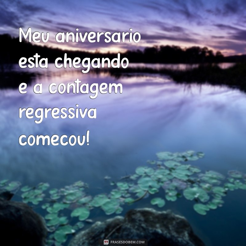 meu aniversário está chegando Meu aniversário está chegando e a contagem regressiva começou!