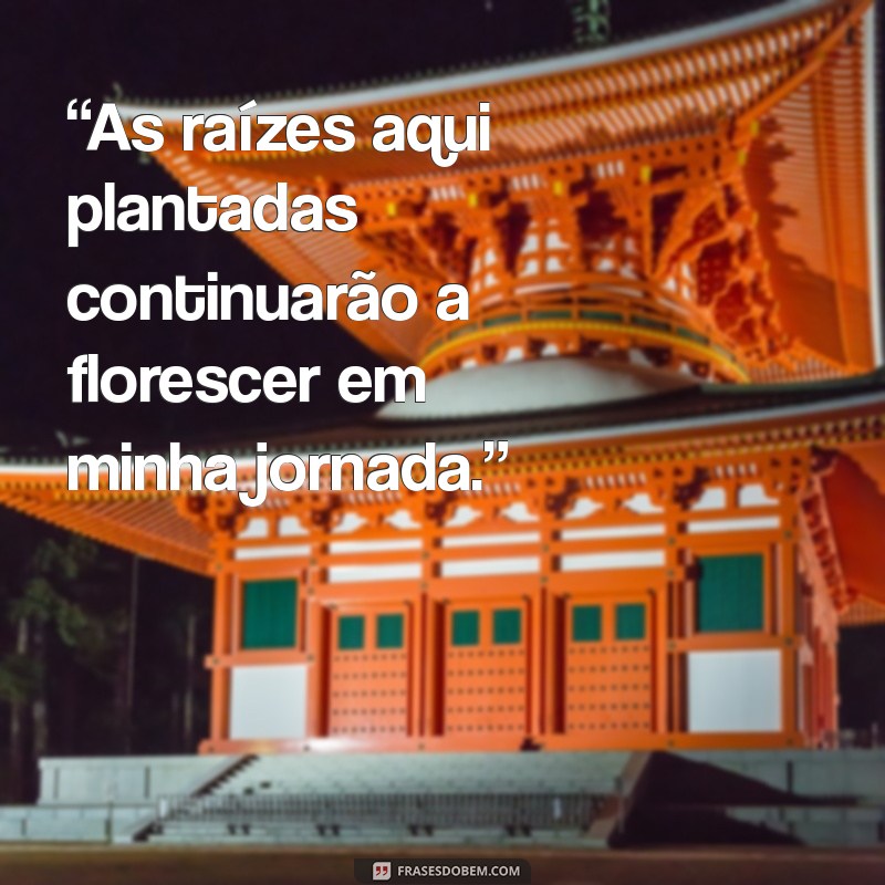 Frases Emocionantes de Despedida para Deixar um Lugar com Memórias 