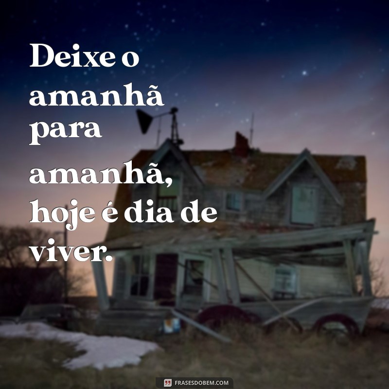 preocupação zero frases Deixe o amanhã para amanhã, hoje é dia de viver.