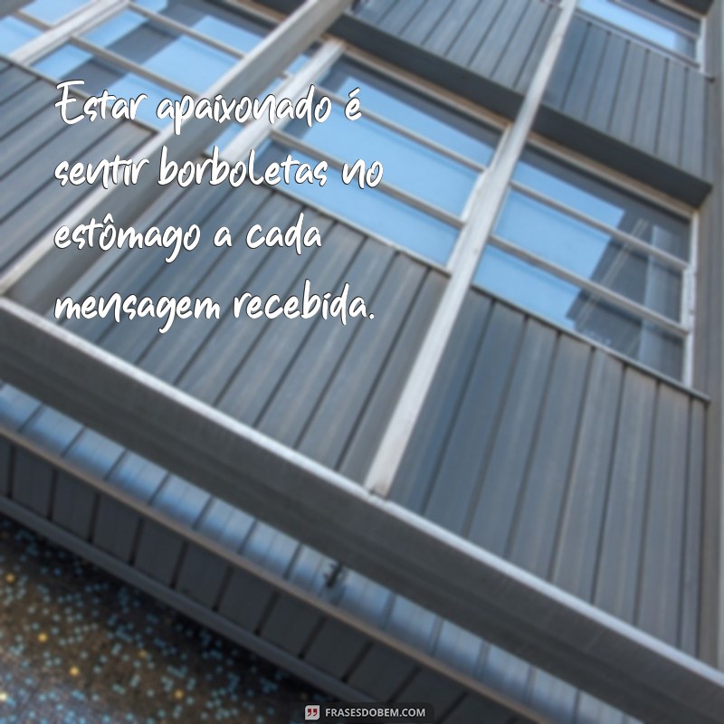 como é estar apaixonado Estar apaixonado é sentir borboletas no estômago a cada mensagem recebida.