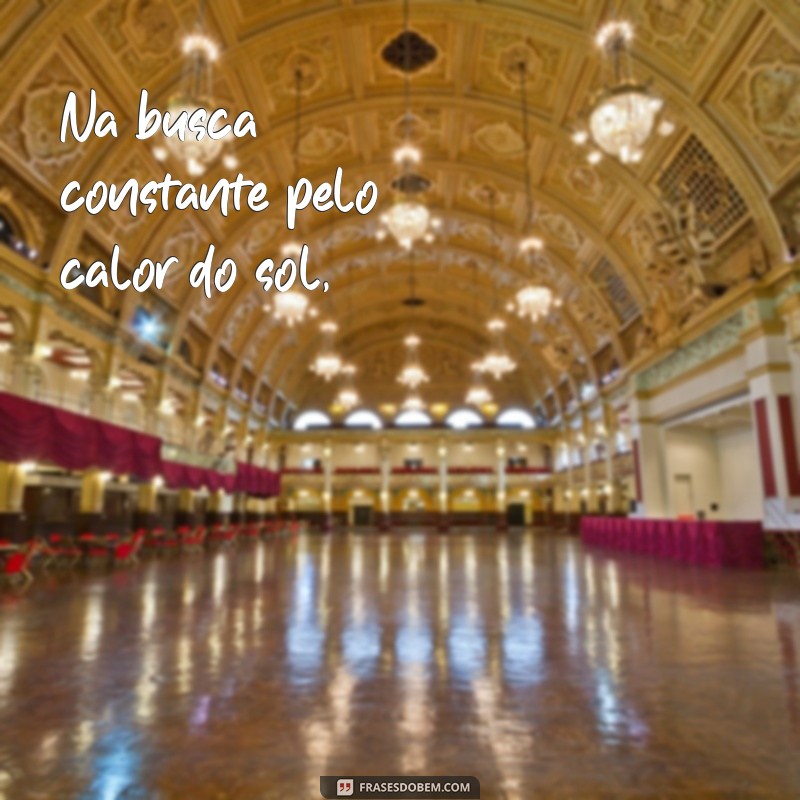 Explorando a Poesia do Girassol em Cecília Meireles: Significados e Interpretações 