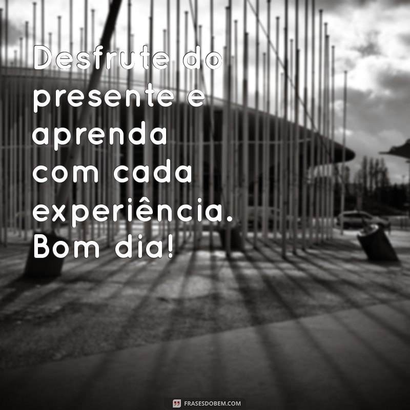 Bom Dia: Inspire-se com a Sabedoria da Mente para Começar o Dia 