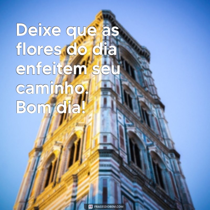 20 Mensagens de Bom Dia Lindas e Originais para Inspirar Seu Dia 