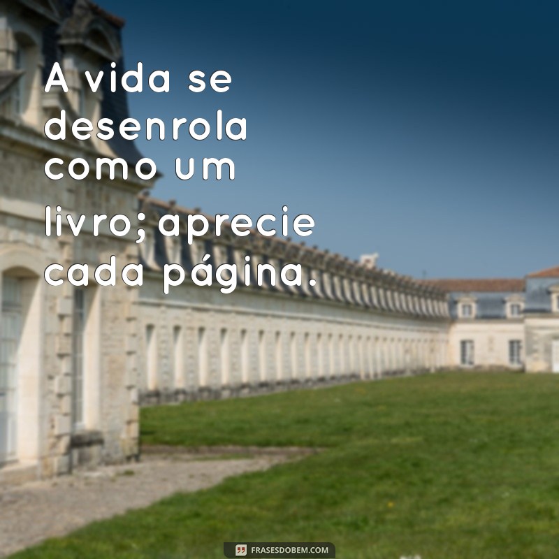 Como Encontrar Equilíbrio na Correria do Dia a Dia: Dicas para Ir com Calma 