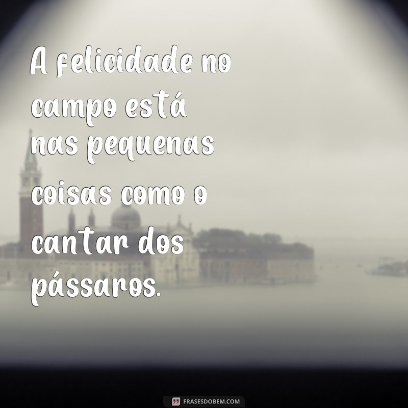 Descubra as mais inspiradoras frases sobre a vida no campo 