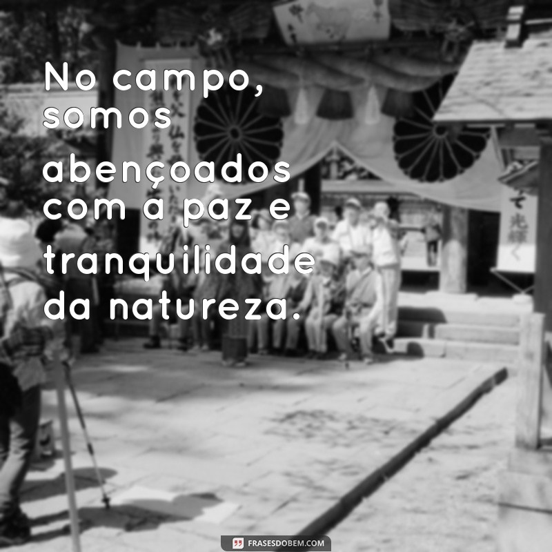 frases de vida no campo No campo, somos abençoados com a paz e tranquilidade da natureza.