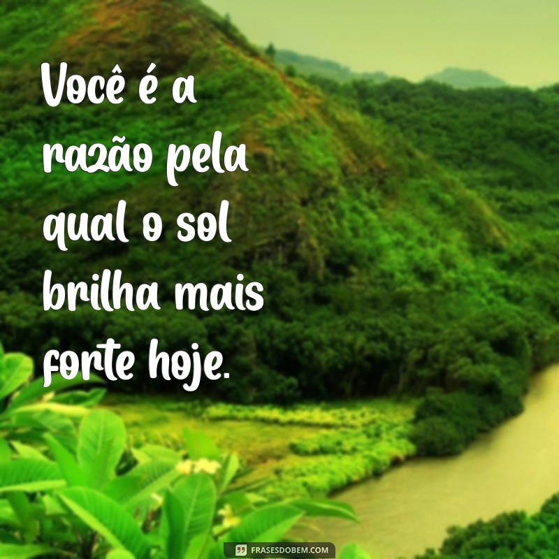 elogio pra gata Você é a razão pela qual o sol brilha mais forte hoje.