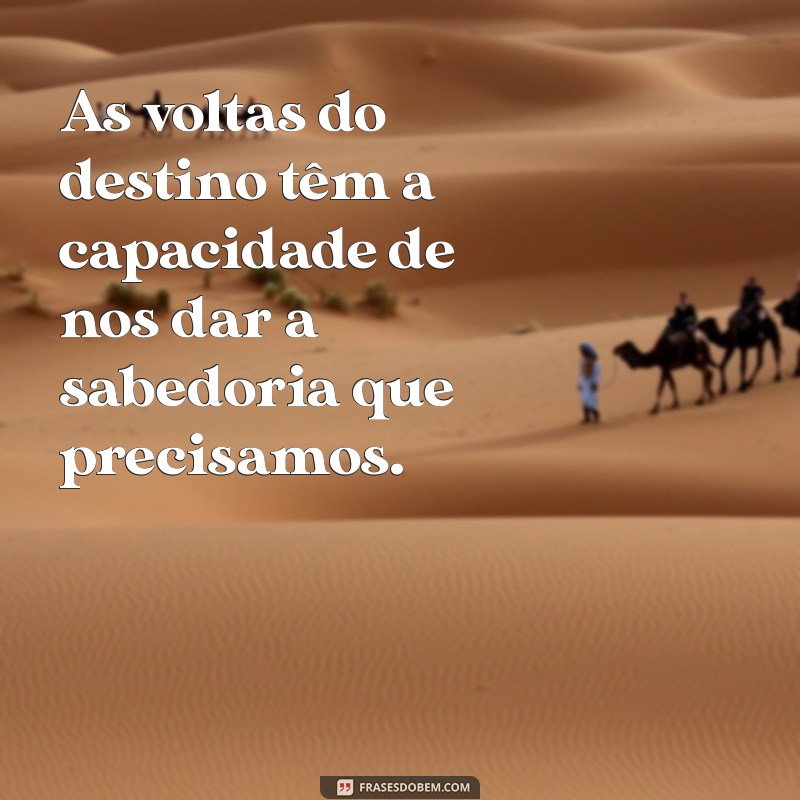 Frases Inspiradoras sobre o Ciclo da Vida: Reflexões do Mundo que Dá Voltas 