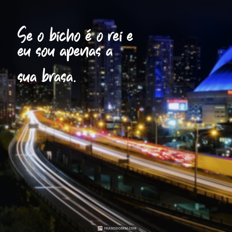 10 Poesias Engraçadas que Vão Fazer Você Rir Alto!