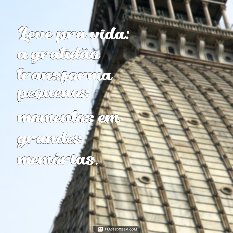 leve pra vida Leve pra vida: a gratidão transforma pequenos momentos em grandes memórias.