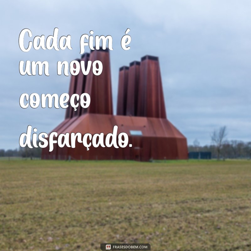 Frases Inspiradoras da Fênix para Transformar Seu Status nas Redes Sociais 