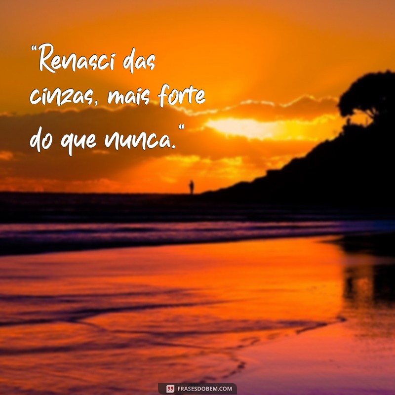 frases da fênix para status 