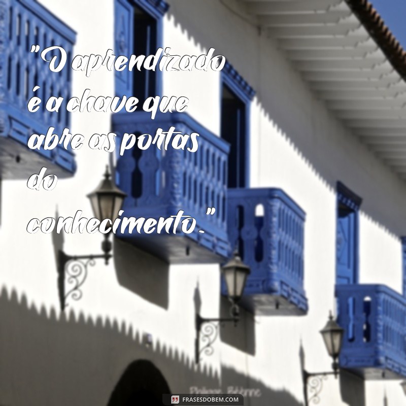 frases de aprendizado 