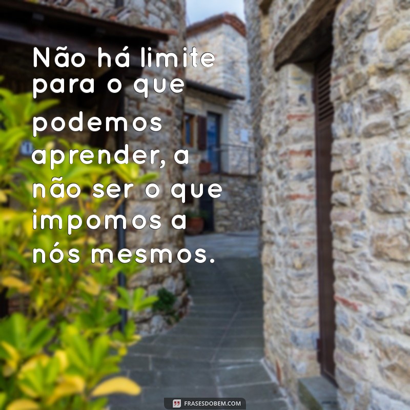 Frases Inspiradoras para Potencializar Seu Aprendizado 