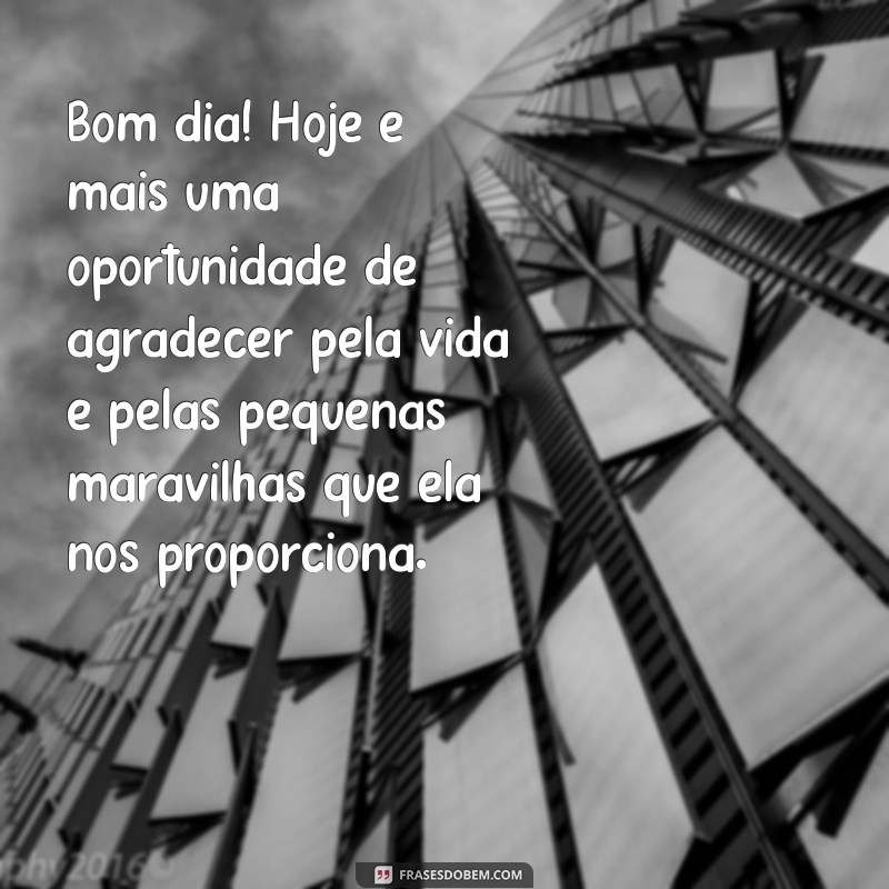 bom dia de gratidão pela vida Bom dia! Hoje é mais uma oportunidade de agradecer pela vida e pelas pequenas maravilhas que ela nos proporciona.