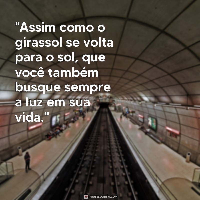 frases motivacional girassol 