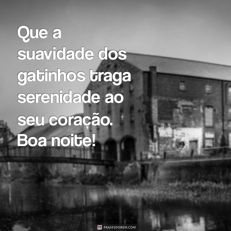 mensagem de paz gatinhos boa noite Que a suavidade dos gatinhos traga serenidade ao seu coração. Boa noite!