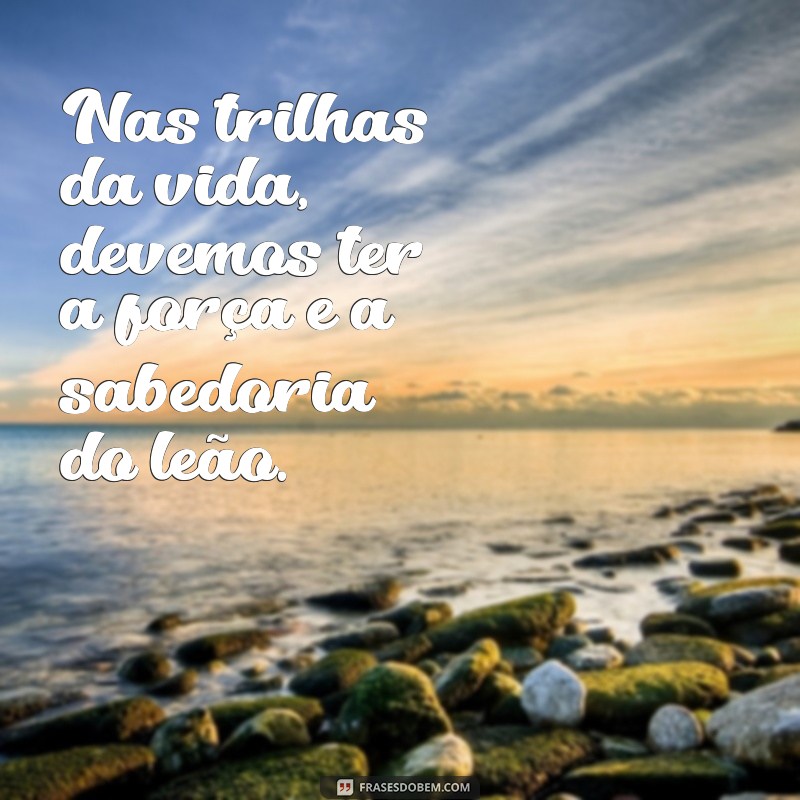 Descubra as Melhores Fotos de Leão com Frases Inspiradoras! 