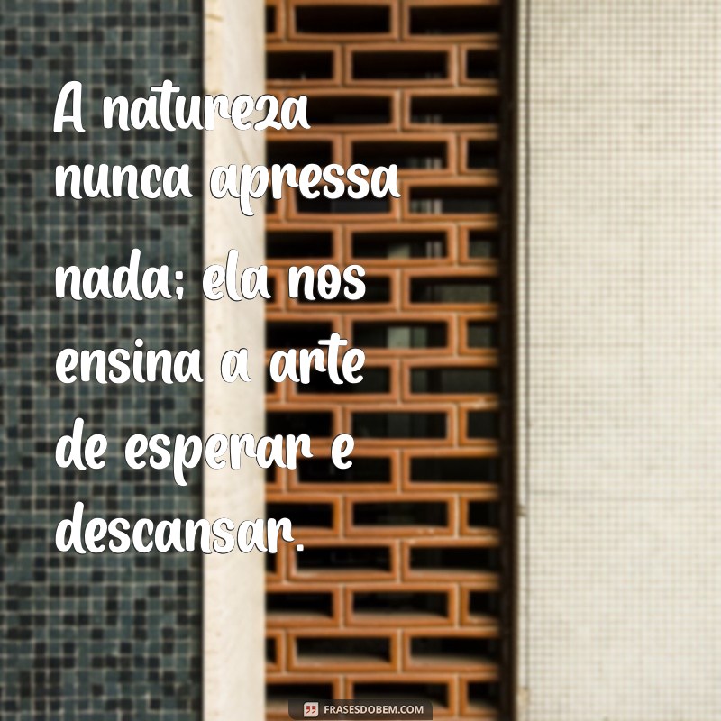 229 Frases Inspiradoras para Aproveitar o Descanso na Natureza 