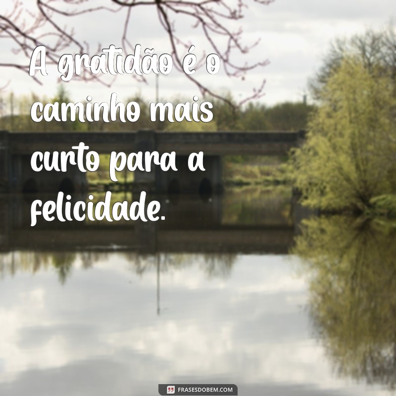 As Melhores Frases de Augusto Cury para Inspirar sua Vida 