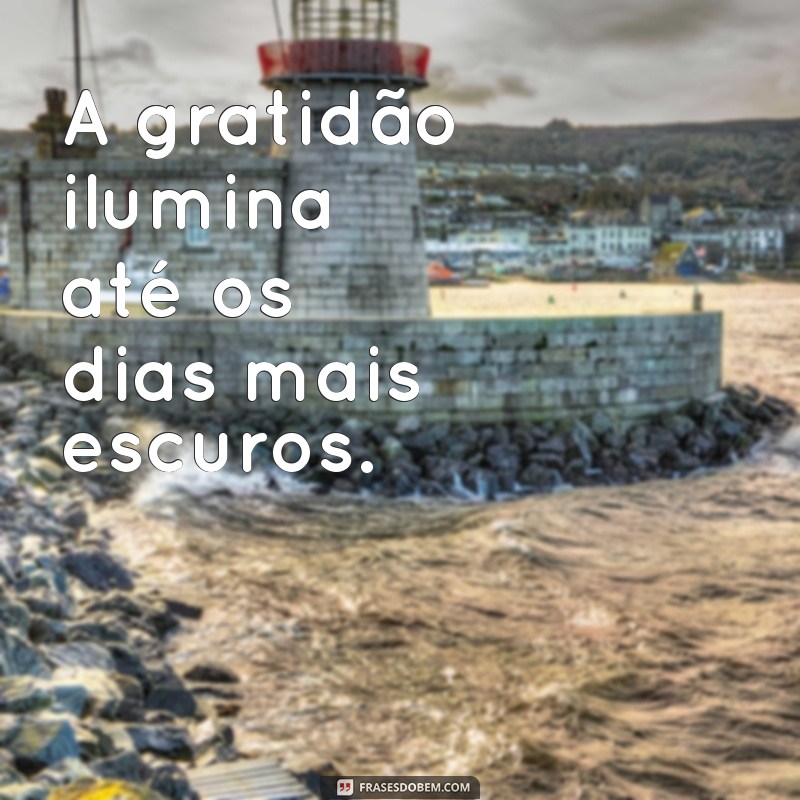 Frases Inspiradoras para Agradecer a Vida: Cultive a Gratidão Todos os Dias 