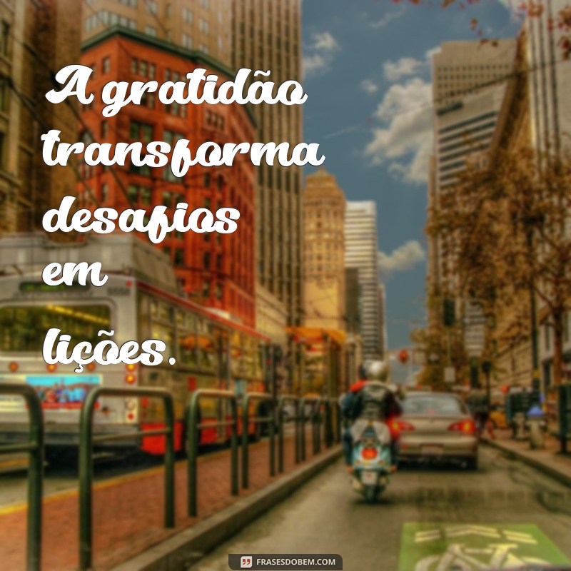 Frases Inspiradoras para Agradecer a Vida: Cultive a Gratidão Todos os Dias 