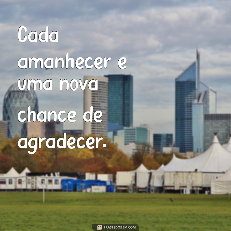 Frases Inspiradoras para Agradecer a Vida: Cultive a Gratidão Todos os Dias 