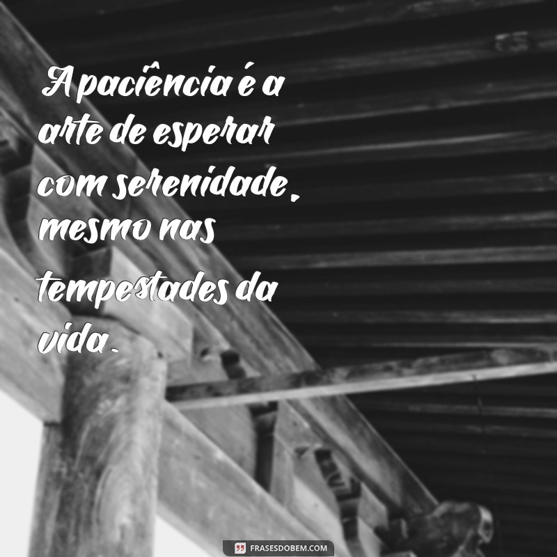 Frases Inspiradoras sobre Valores e Princípios para Transformar sua Vida 