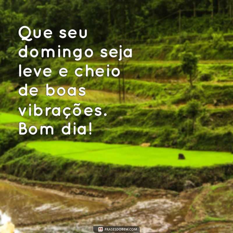 Frases Inspiradoras de Bom Dia para um Domingo Perfeito 