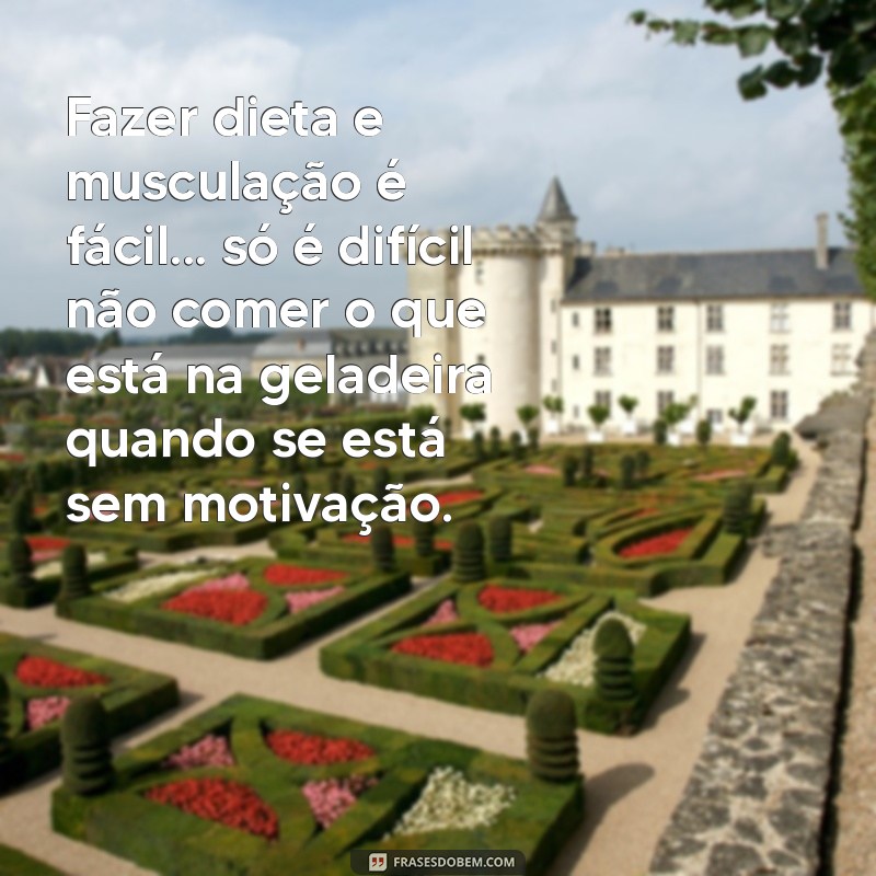 As Melhores Frases Engraçadas sobre Musculação para Motivar seu Treino 