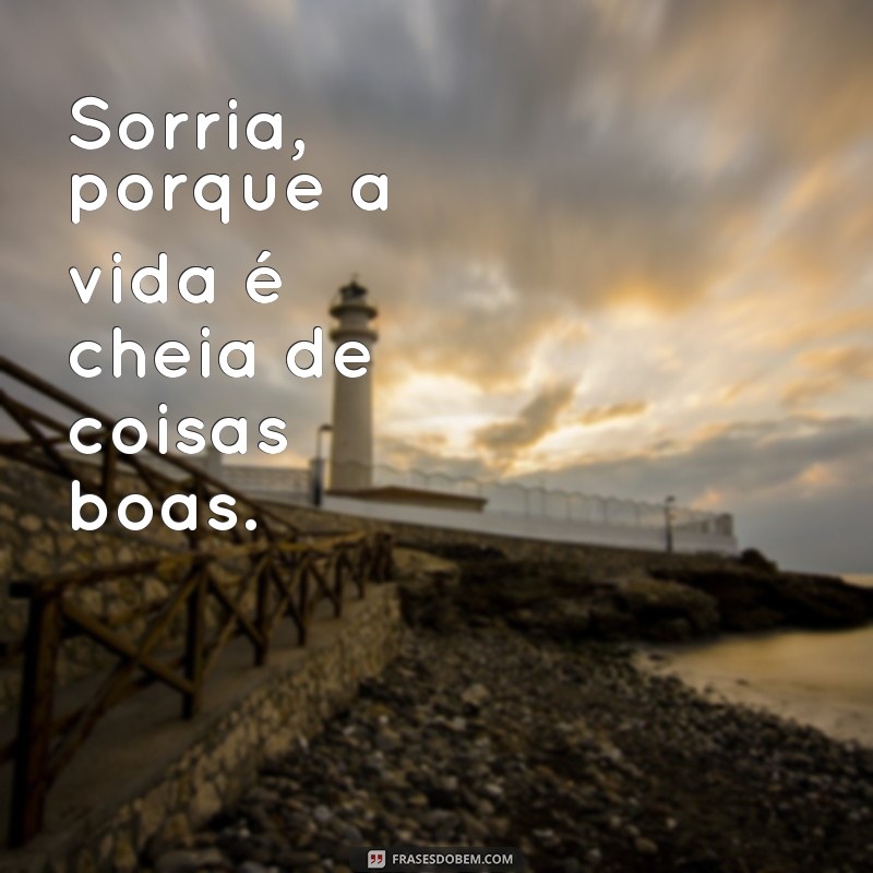 Descubra as melhores frases para arrasar na sua bio do Instagram 