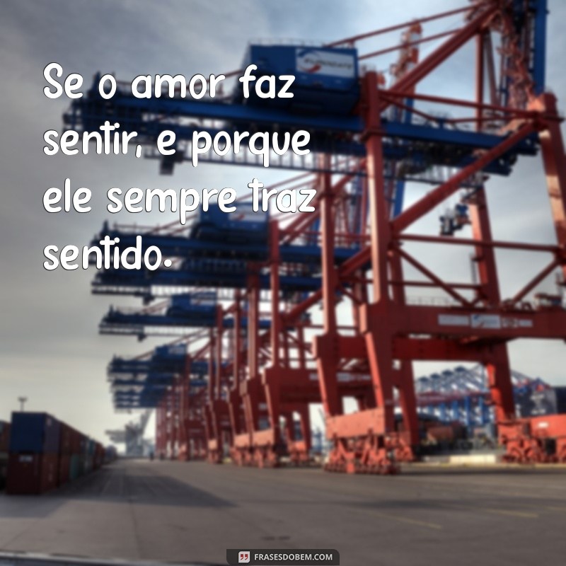 Frases Inspiradoras: Como Se Faz Sentir, Faz Sentido Pode Transformar Sua Perspectiva 