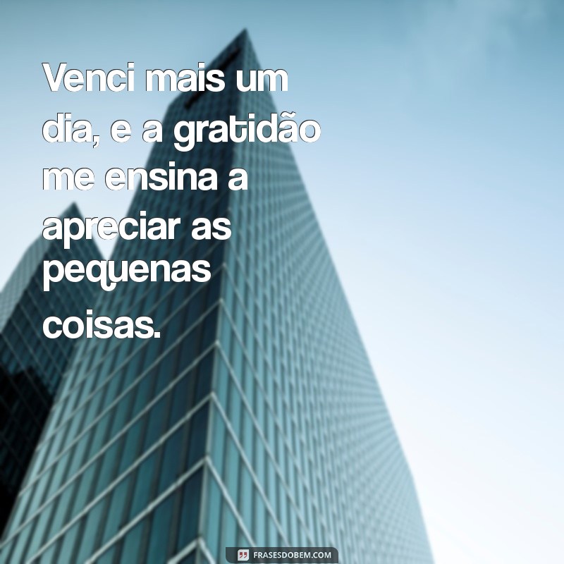 Como a Gratidão Transforma Seu Dia: Vencendo Desafios Diários 