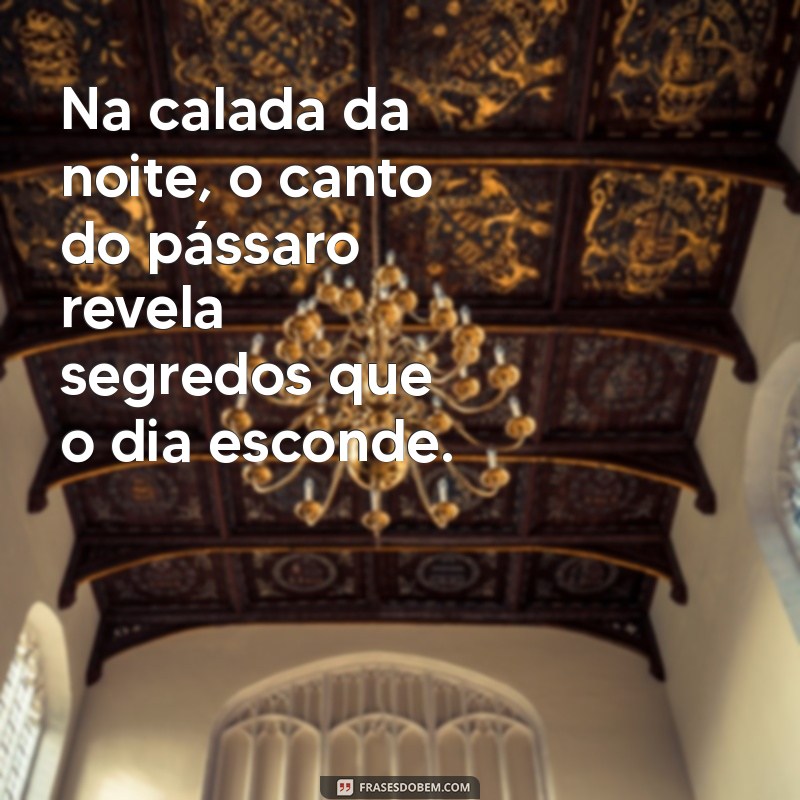 Descubra o Significado do Pássaro que Canta às 3 da Manhã: Mitos e Curiosidades 