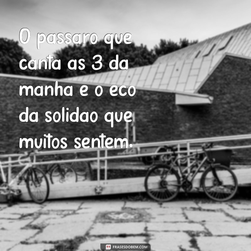 pássaro que canta às 3 da manhã O pássaro que canta às 3 da manhã é o eco da solidão que muitos sentem.