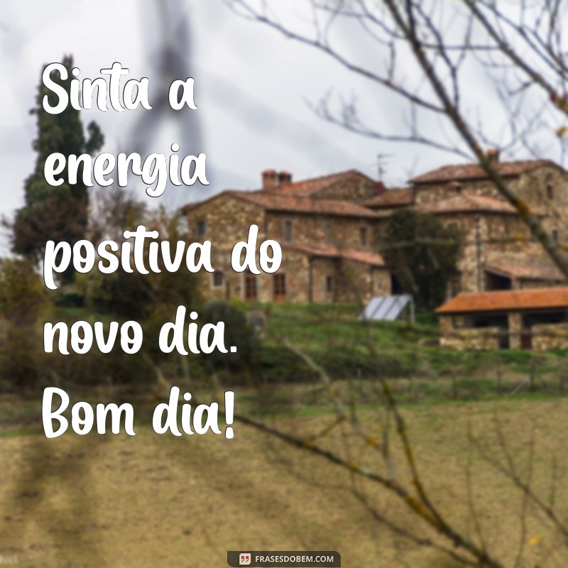 50 Frases Inspiradoras de Bom Dia para Compartilhar no WhatsApp 