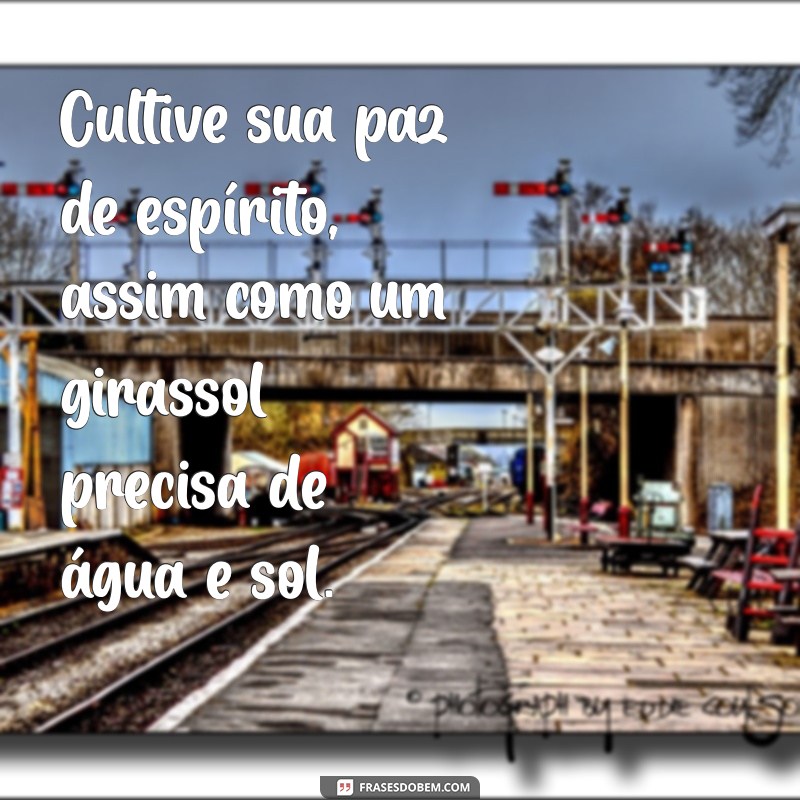 Frases Inspiradoras: Seja Como um Girassol e Ilumine Sua Vida 