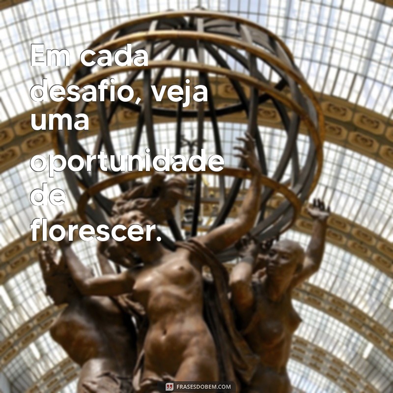 Frases Inspiradoras: Seja Como um Girassol e Ilumine Sua Vida 