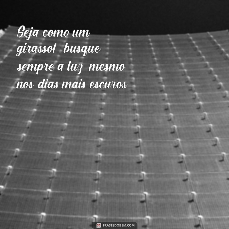 frases seja como um girassol Seja como um girassol: busque sempre a luz, mesmo nos dias mais escuros.