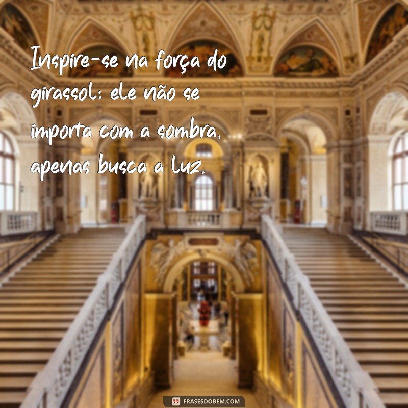 Frases Inspiradoras: Seja Como um Girassol e Ilumine Sua Vida 