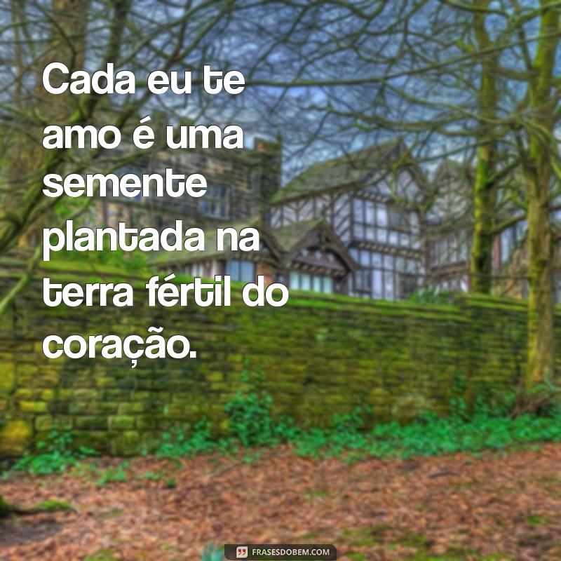 Frases Inspiradoras de Amor para Motivar seu Coração 