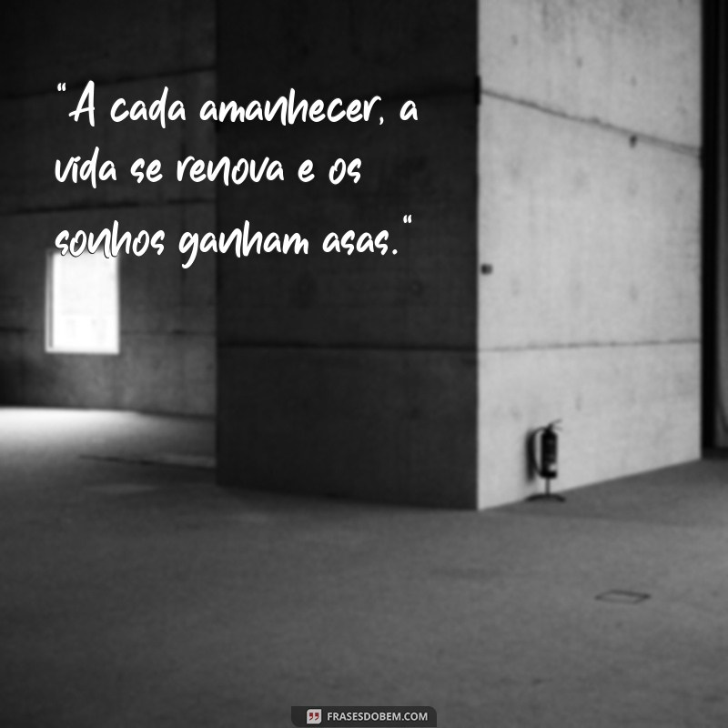 frases do amanhecer 