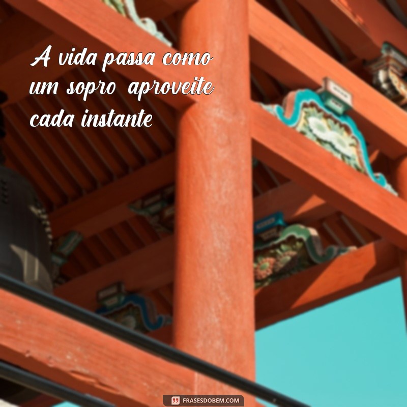 a vida passa reflexão A vida passa como um sopro; aproveite cada instante.