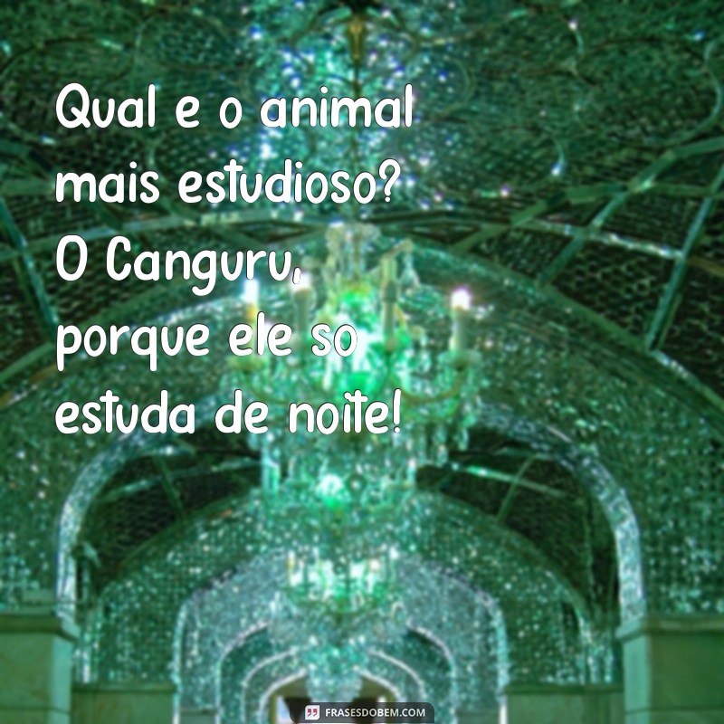 Divirta-se com as melhores frases de rir para alegrar o seu dia! 