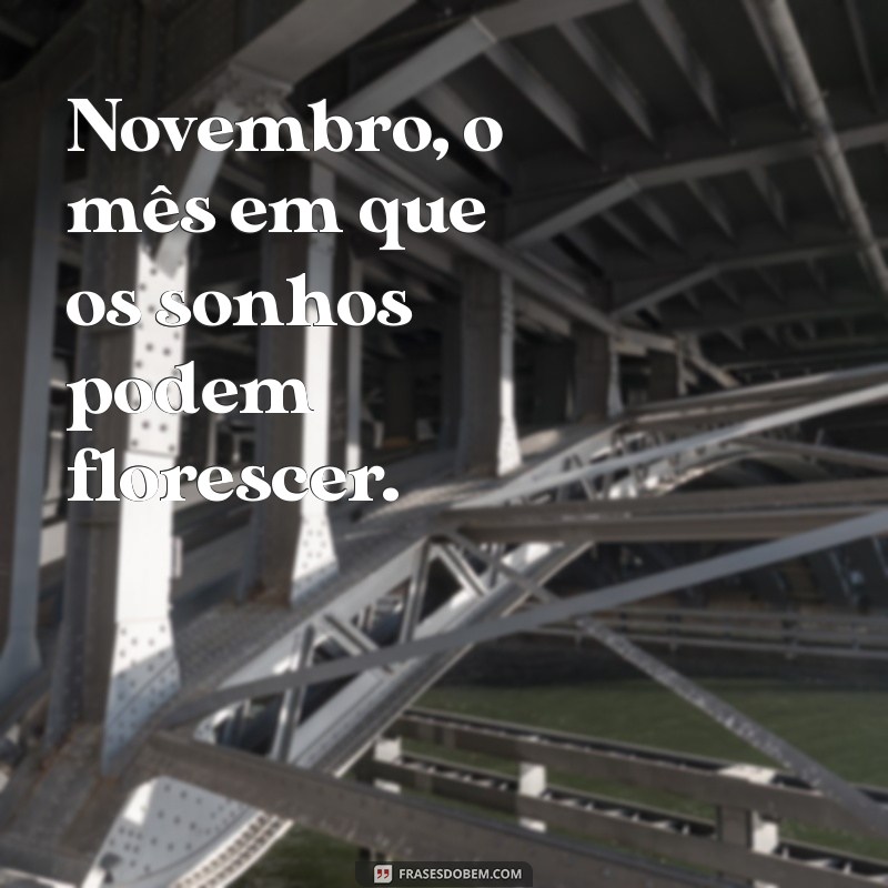 Novembro: O Mês da Transformação e Novas Oportunidades 