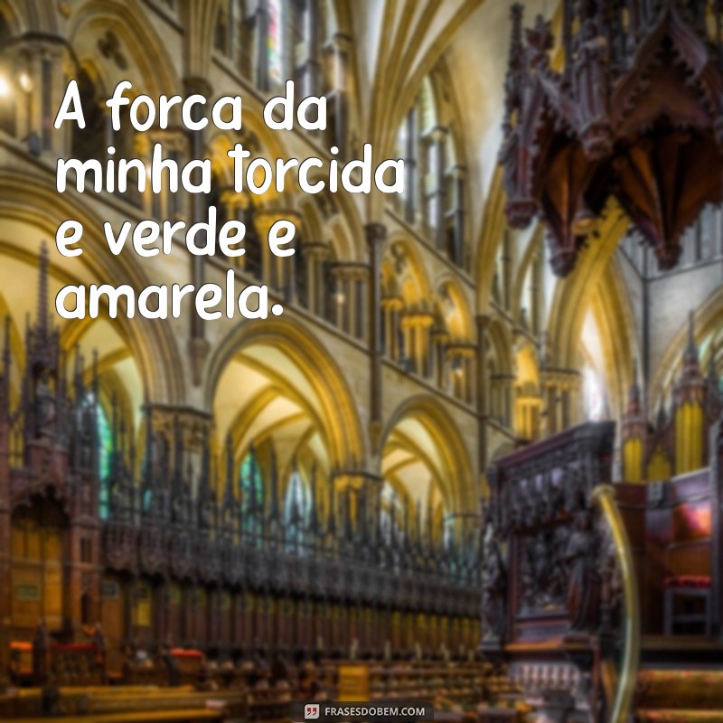 As Melhores Frases do Palmeiras para Inspirar Seu Tumblr 