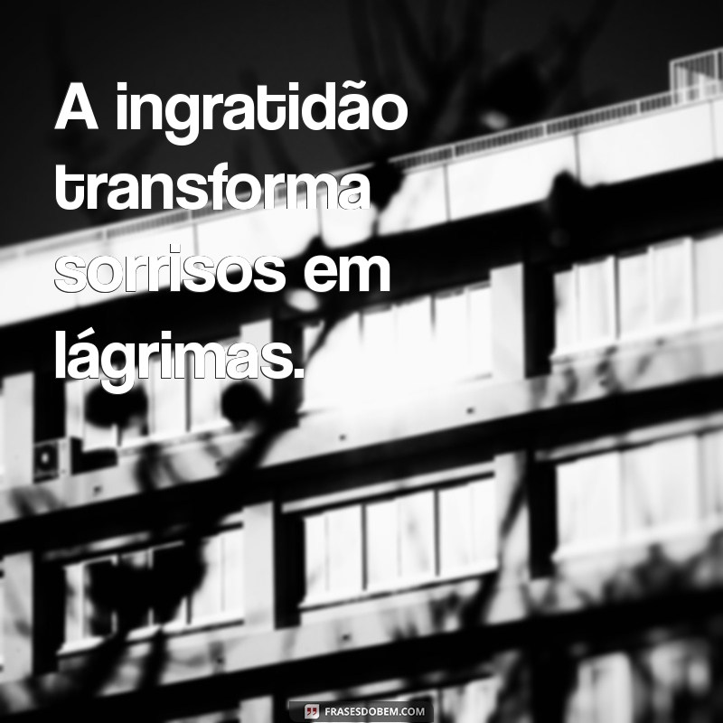 Frases Impactantes sobre Ingratidão: Reflexões e Lições para a Vida 