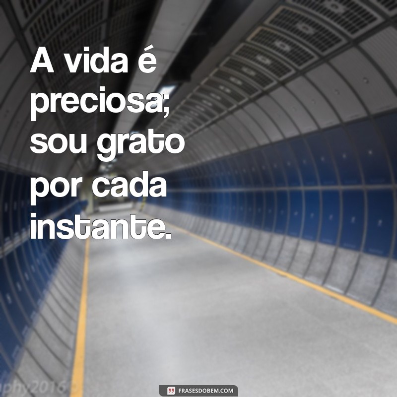 Frases Curtas de Gratidão para Celebrar Mais um Ano de Vida 